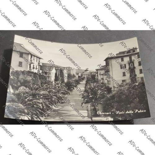 Cartolina chiavari viale - -,