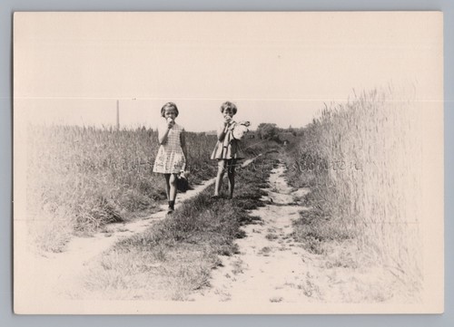 Ragazze tra campi grano - ragazze, di