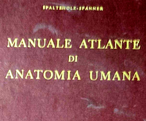 Manuale atlante anatomia - atlante,