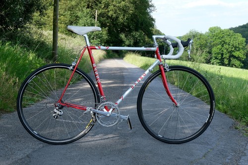 Basso fior loto classico - basso,