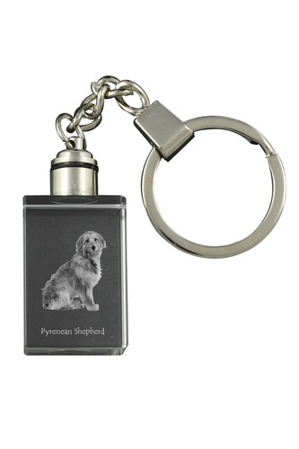 Cane pastore dei pirenei - cane,