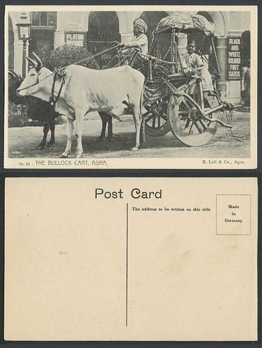 India old postcard - old, bullock