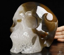 Lifesized 6.7" Agate Carved