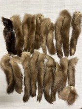 Code e Collo di visone