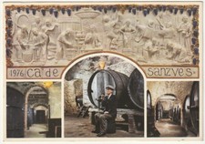 PREDAPPIO ALTA - FORLI' - ENOTECA LA CA' DE SANZVES - VIAGG. 1978 -10027-