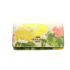 Portachiavi Coach 6 file