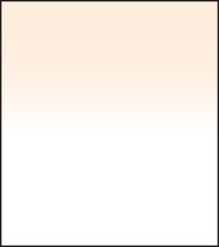 Lee Filters SW150 Coral 2