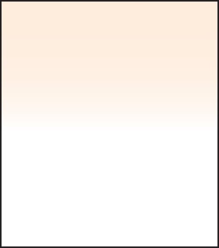 Lee filters sw150 - coral, 2