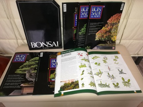 Bonsai news riviste 5 - &,
