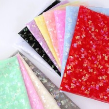 Glossy Transparent Lace Mesh