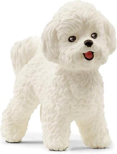 Cagnolino bichon frise - cagnolino,