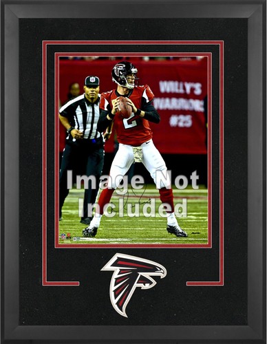 Falcons deluxe 16x20 vertical - falcons,