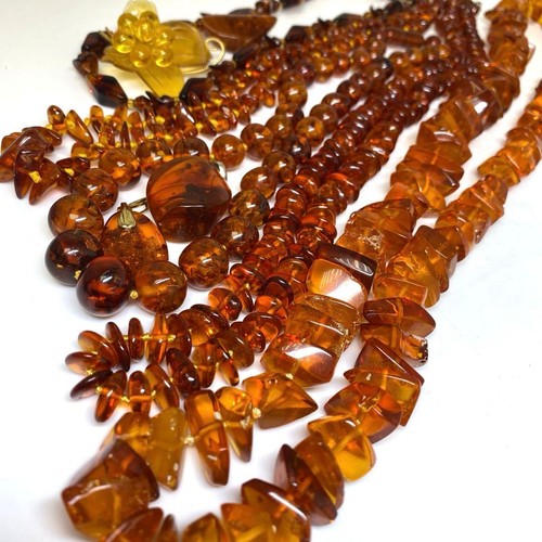 Collana spilla ambra lotto - ambra,