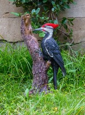 Picchio accatastato su tronco