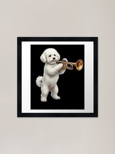 Quadro Stampa su Tela Bichon