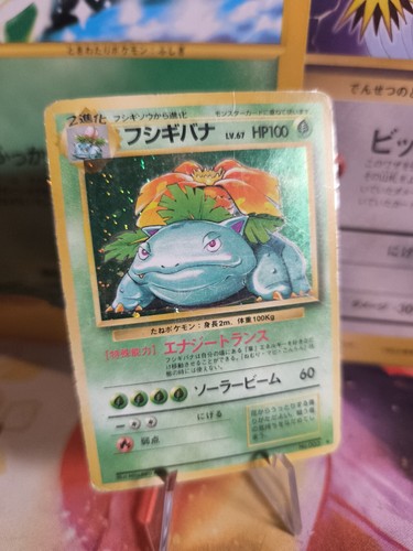 Carta pokemon card bisaflor - pokemon,