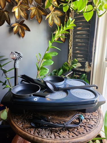 Griglia raclette vintage tefal - raclette,