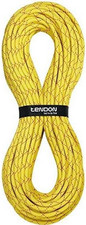 Tendon salamander 10 2 - tendon,