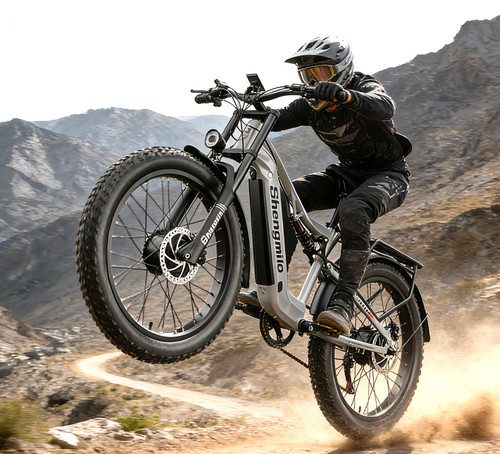 Mountain bike elettrica