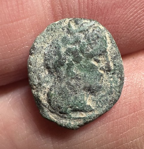 Antica moneta greca - in, bronzo
