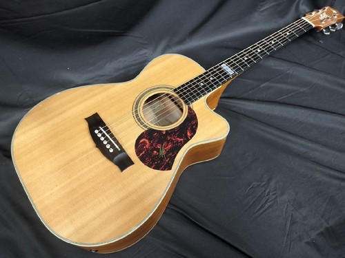 Chitarra elettrica acustica