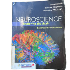 Neuroscience: Exploring the