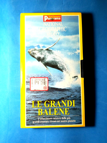 Videocassetta vhs national - videocassetta,