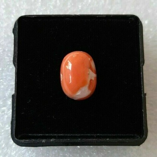 Mediternean corallo cabochon - mediternean,