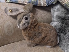 Peluche Steiff coniglio 077654
