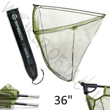 Esemplare testa rete da