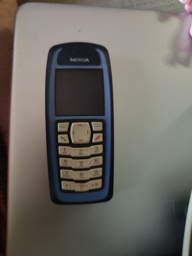 Nokia 3100