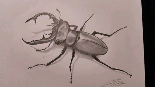 Raro disegno matita - a,
