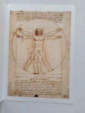 Riproduzione - Uomo vitruviano