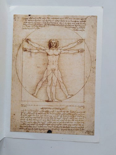 Riproduzione uomo vitruviano - riproduzione,