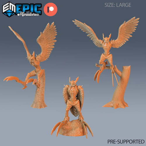 Arpia gufo dungeons drago - gufo,,