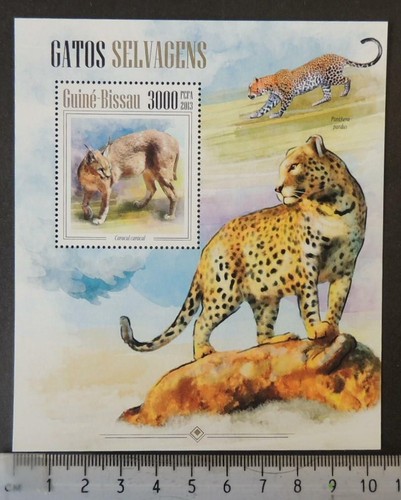 Guinea bissau 2013 gatti - guinea-bissau,