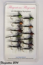 Assortimento di 12 ninfe