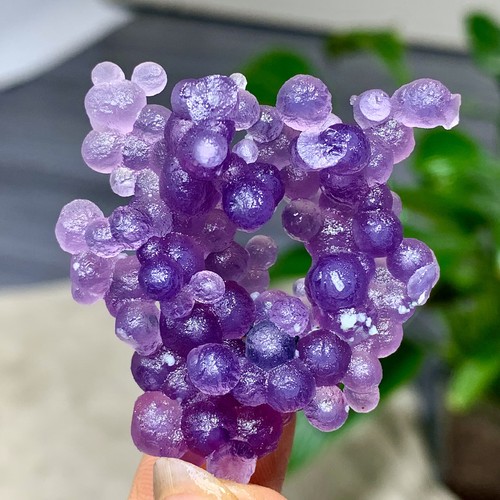 20g agata uva viola - 20g,