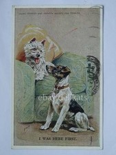 CAIRN TERRIER SMOOTH HAIRED FOX TERRIER cane dog vecchia cartolina  