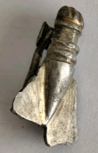 Rara cicala fibula - rara,