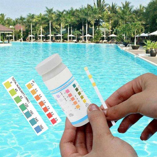 Cloro alcalino 100pz - ph,