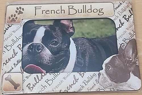 Bulldog francese magnetico - , 5"