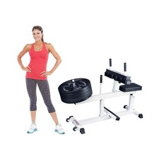 Seated Calf Machine 500 LBS