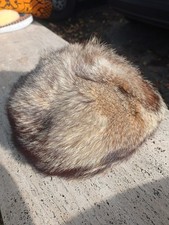 COLBACCO DONNA PELLICCIA DI