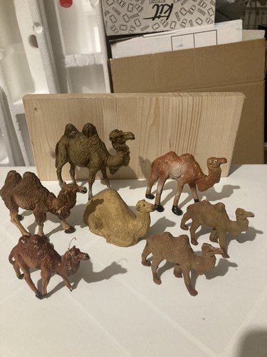 Gruppo cammelli presepe - gruppo, da