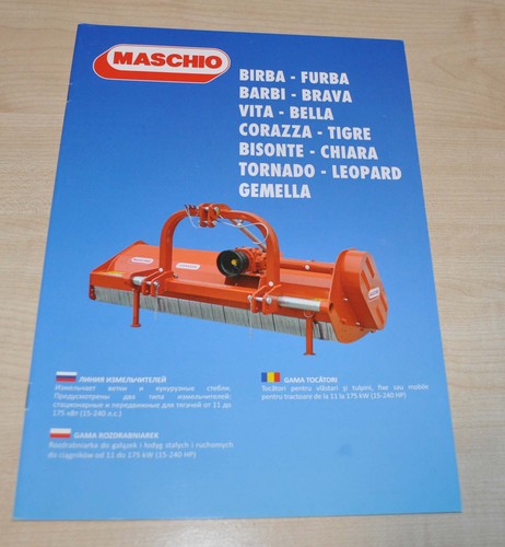 Maschio birba furba barbi - maschio,