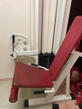 leg extension leg curl