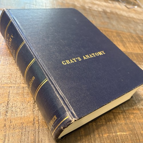 Gray anatomy 28th edition - edition,
