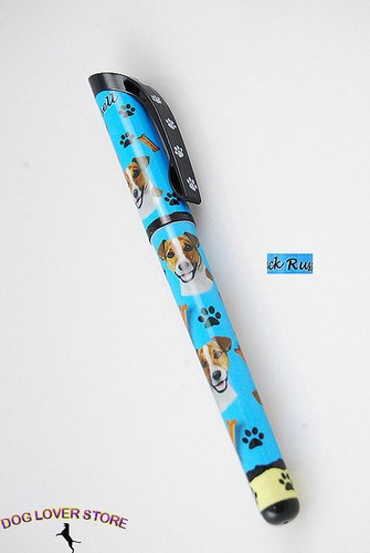 Cane jack russell terrier - cane,