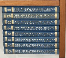 NEL MERAVIGLIOSO MONDO DEGLI